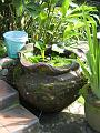 2007 07 17 BALI 0006
